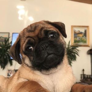 Meet your Posher, Cynthia